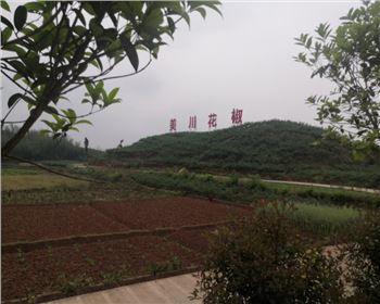 宜賓美川花椒烘干新項目設(shè)備進(jìn)場安裝