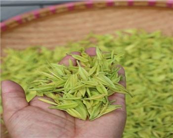 四川果蔬烘干機(jī)的好處有哪些呢？